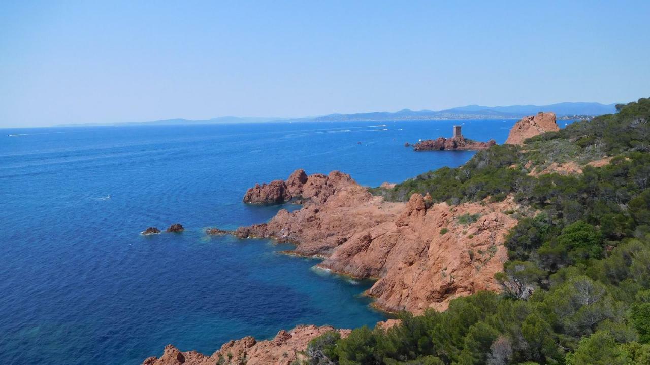 Grand Appartement Dans Maison Avec Piscine Privee Fréjus Exteriör bild